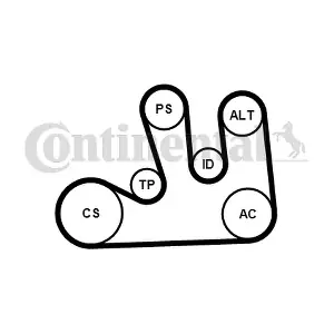 CONTINENTAL CTAM 5PK1750WP1