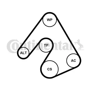 CONTINENTAL CTAM 5PK1207WP1