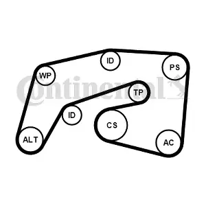 CONTINENTAL CTAM 7PK2035WP1