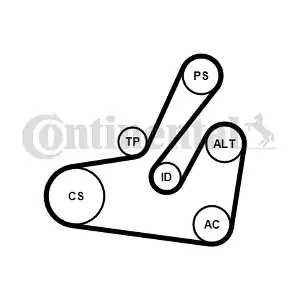 CONTINENTAL CTAM 6PK1795K2