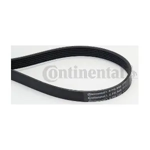 CONTINENTAL CTAM 6PK948