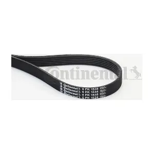 CONTINENTAL CTAM 6PK1538