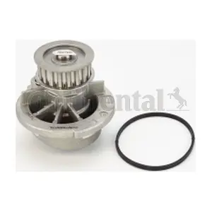 WP6043 CONTINENTAL CTAM
