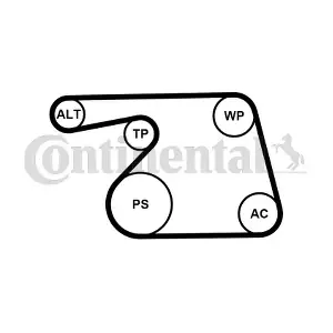 CONTINENTAL CTAM 6PK1318WP1