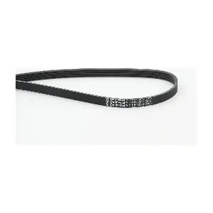 CONTINENTAL CTAM 5PK1212
