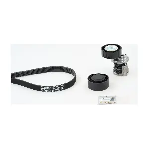 CONTINENTAL CTAM 6PK1555K4