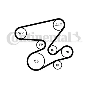 CONTINENTAL CTAM 6PK2080WP2
