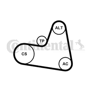 6PK962K1 CONTINENTAL CTAM