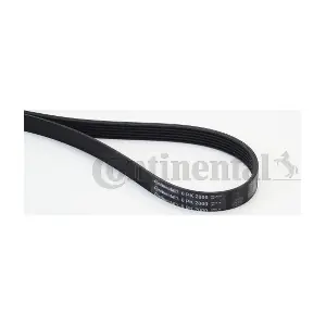 CONTINENTAL CTAM 6PK2000