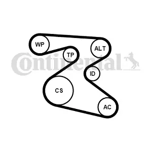 CONTINENTAL CTAM 6PK1873WP1