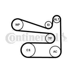 6PK1693WP1 CONTINENTAL CTAM