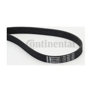 CONTINENTAL CTAM 7PK1687