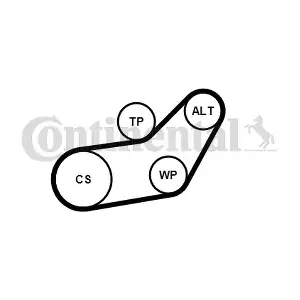 CONTINENTAL CTAM 6PK1045WP2
