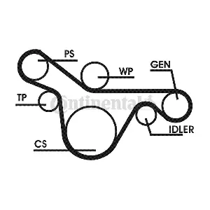 CONTINENTAL CTAM 6PK1413D1