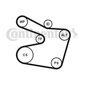 CONTINENTAL CTAM 6PK1538WP2
