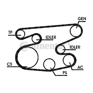 CONTINENTAL CTAM 6PK2215D1