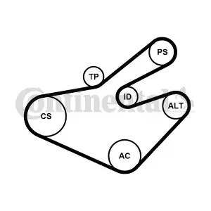 CONTINENTAL CTAM 7PK1795WP1