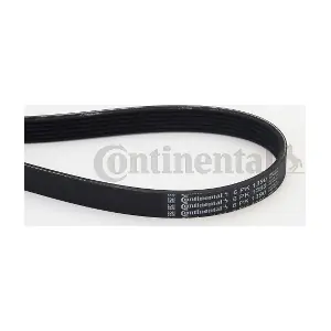 CONTINENTAL CTAM 6PK1390