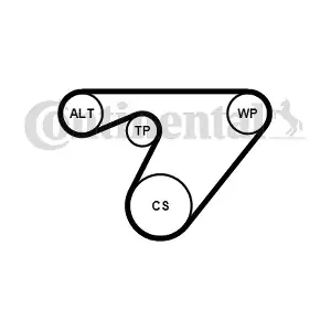 CONTINENTAL CTAM 6PK1180WP2