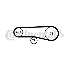 CONTINENTAL CTAM 4PK890K1