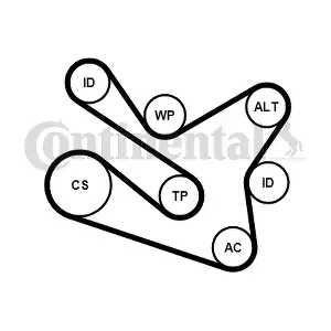 CONTINENTAL CTAM 7PK1570WP1