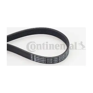 6PK1061 EXTRA CONTINENTAL CTAM