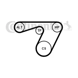 CONTINENTAL CTAM 6PK1180WP1