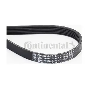 CONTINENTAL CTAM 6PK1153