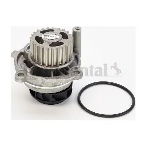 CONTINENTAL CTAM WP6010