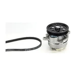 3PK725 ELAST WP1 CONTINENTAL CTAM