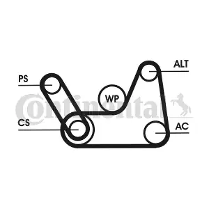 6PK1019 ELAST T1 CONTINENTAL CTAM