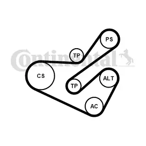 6PK1740K1 CONTINENTAL CTAM