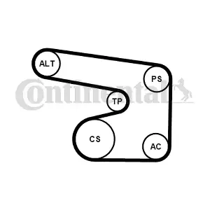 6PK1900K1 CONTINENTAL CTAM