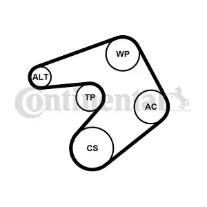 CONTINENTAL CTAM 6PK1205WP1