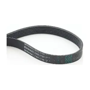 CONTINENTAL CTAM 6PK1725