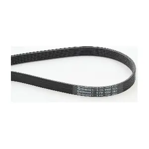 CONTINENTAL CTAM 6PK1580