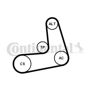 6PK1005K2 CONTINENTAL CTAM