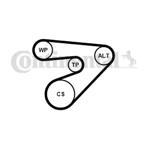 CONTINENTAL CTAM 6PK1453WP1
