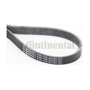 6PK1345 EXTRA CONTINENTAL CTAM