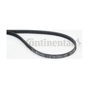 3PK762 ELAST CONTINENTAL CTAM