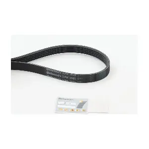 CONTINENTAL CTAM 5PK1105