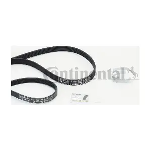 6PK1059ELASTT2 CONTINENTAL CTAM