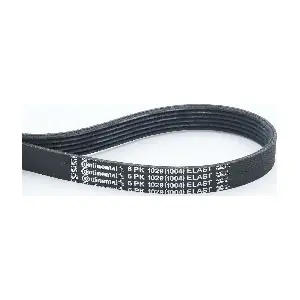 6PK1029 ELAST CONTINENTAL CTAM