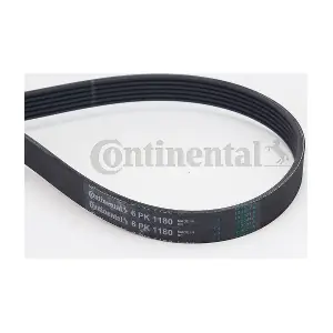 CONTINENTAL CTAM 6PK1180