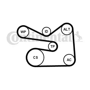 CONTINENTAL CTAM 6PK1733WP2