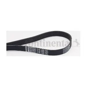 CONTINENTAL CTAM 6PK1836
