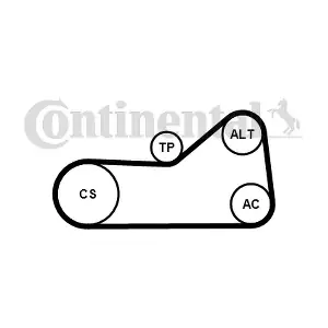 CONTINENTAL CTAM 6PK976WP1