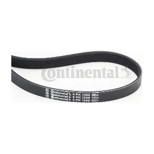 CONTINENTAL CTAM 6PK1306
