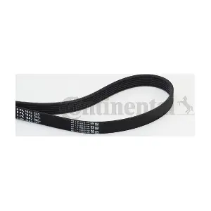 CONTINENTAL CTAM 6PK1642