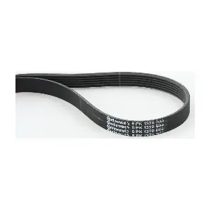 CONTINENTAL CTAM 6PK1370